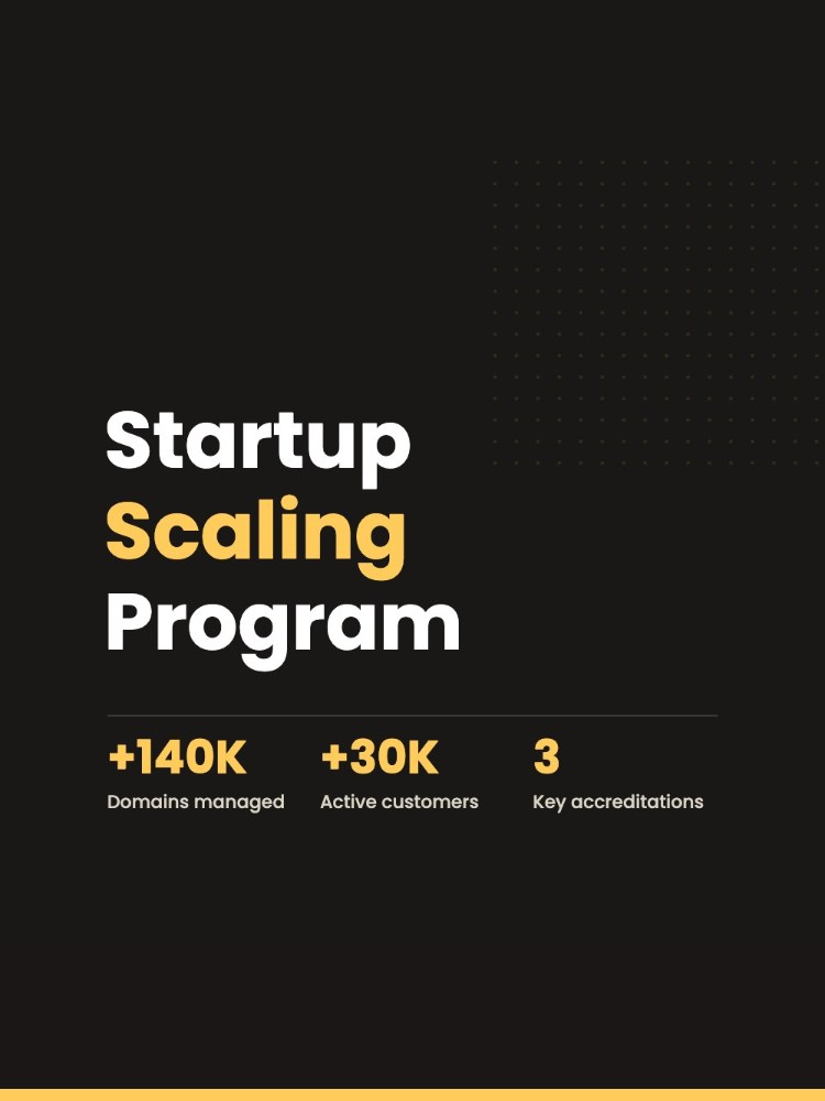 Startup Scaling Program